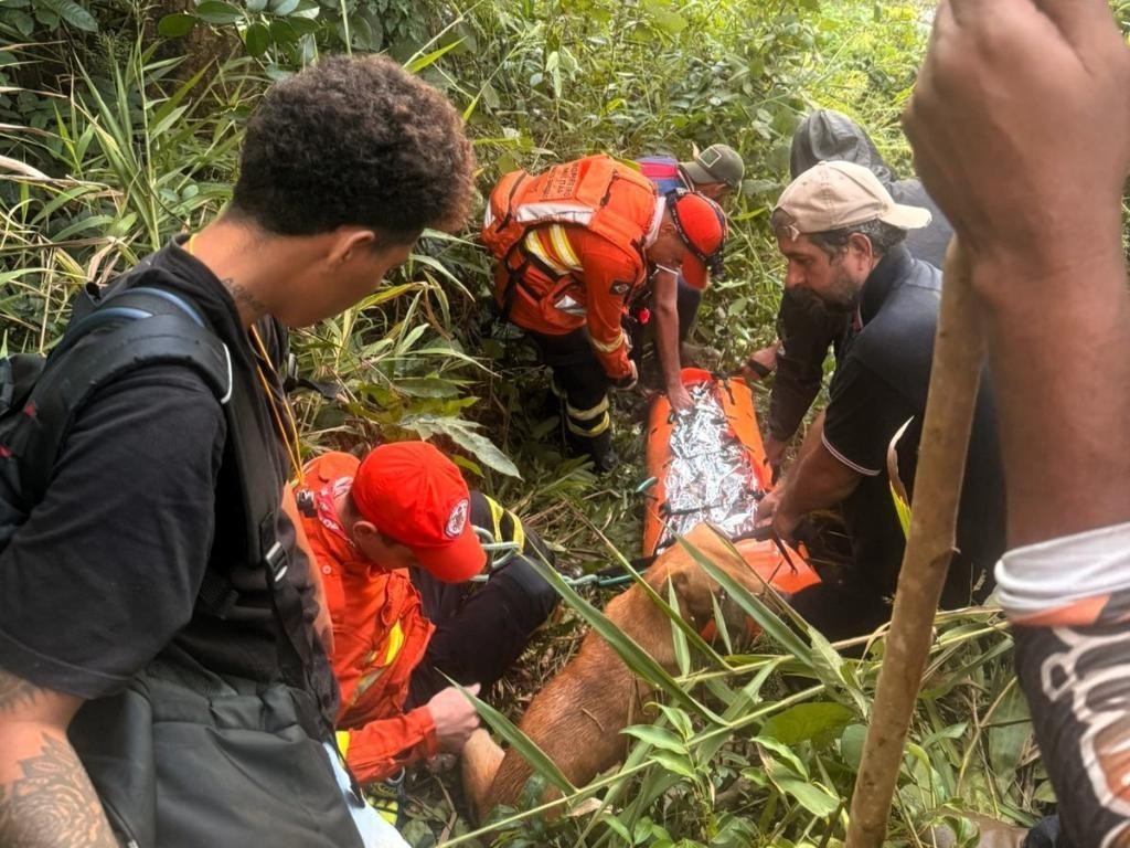 Bombeiros resgatam mulher com vida após vários dias perdida em área de mata