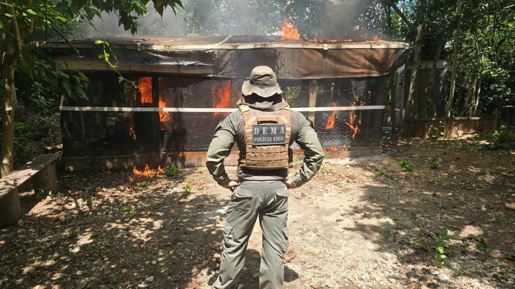 Operação resulta em prisões por crime ambiental e demolições de construções irregulares em Área de Preservação Permanente