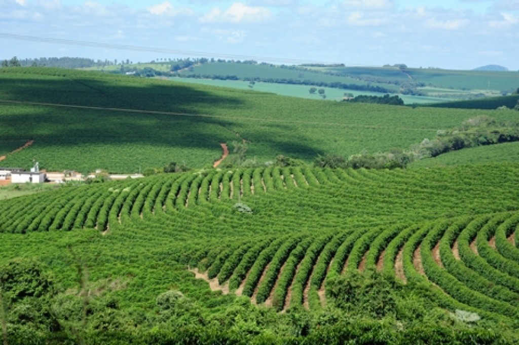 Alta dos insumos e eventos climáticos ampliam pressão sobre o agronegócio