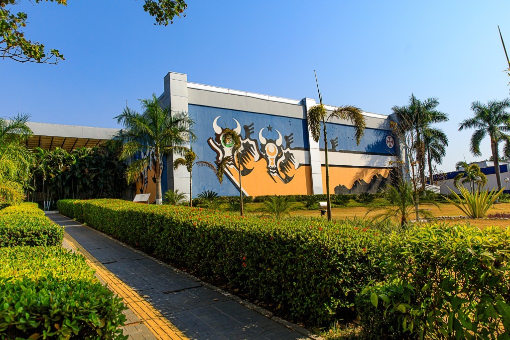 Governo de MT vai mostrar como aliar produção de alimentos e preservação ambiental na COP 30