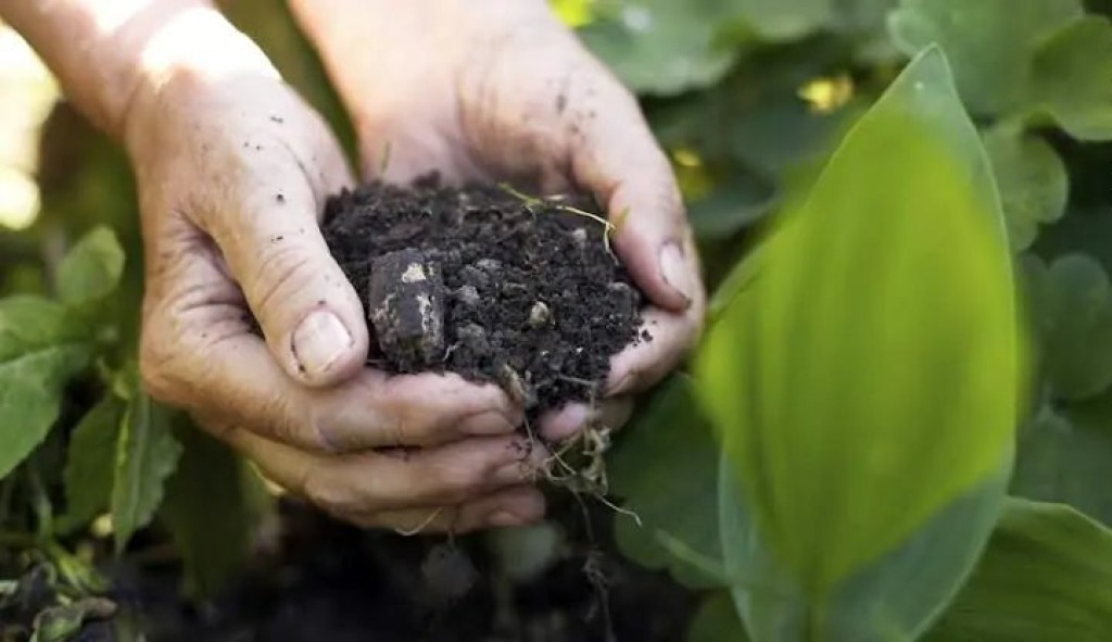 Produtores cobram regras mais simples para produção na fazenda