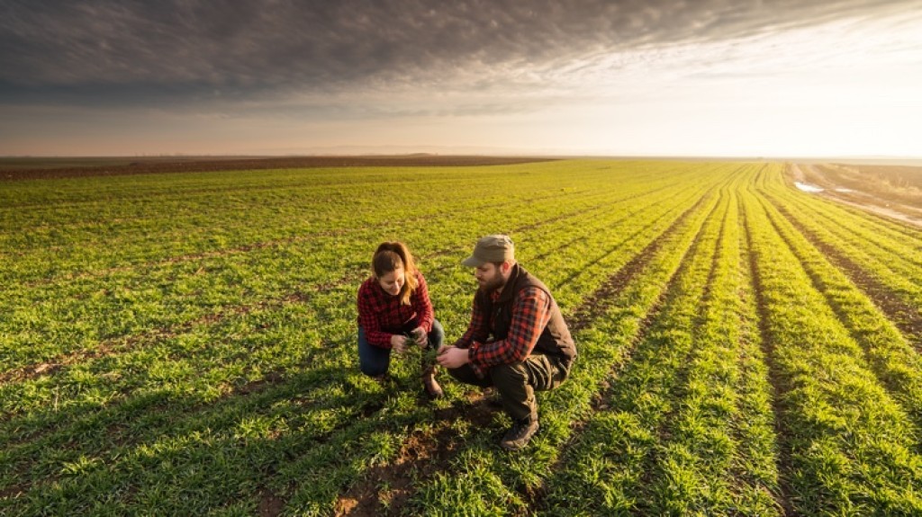 Protocolo acompanha transição agroecológica por cinco anos