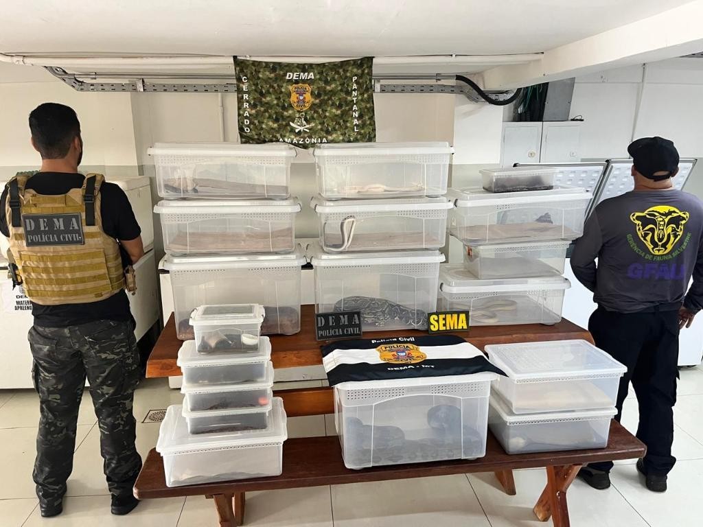 Polícia Civil deflagra operação contra manutenção irregular de animais silvestres e exóticos
