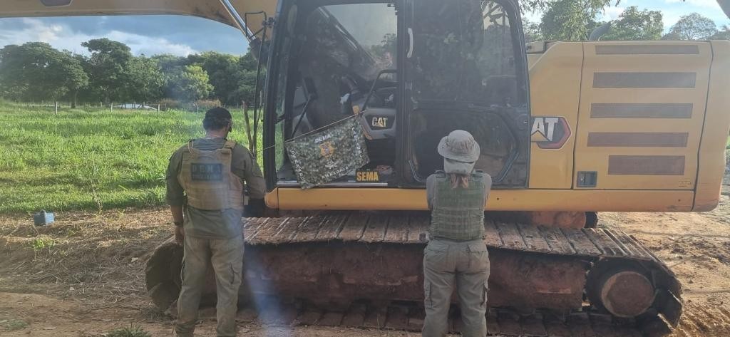 Polícia Civil deflagra Operação Logging e causa prejuízo de R$ 3,5 milhões ao crime ambiental em Mato Grosso