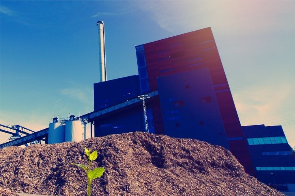 Audiência Pública debate uso de vegetação nativa em PSS nesta terça