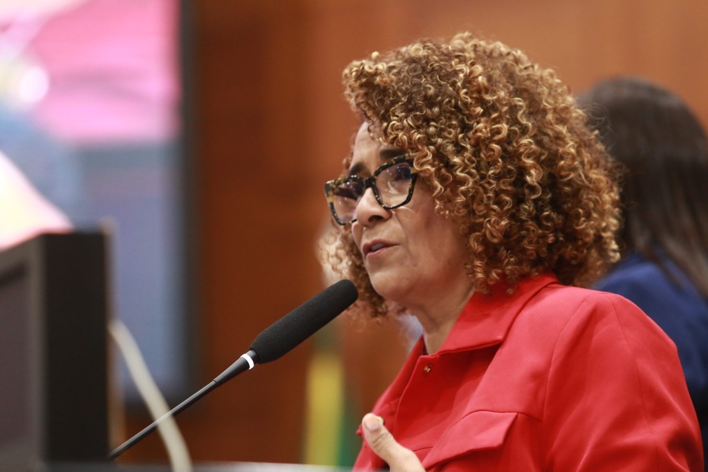 Audiência debate feminicídio em MT