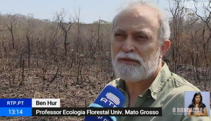 Professor da Unemat de Nova Xavantina avalia impactos das queimadas em entrevista a site europeu
