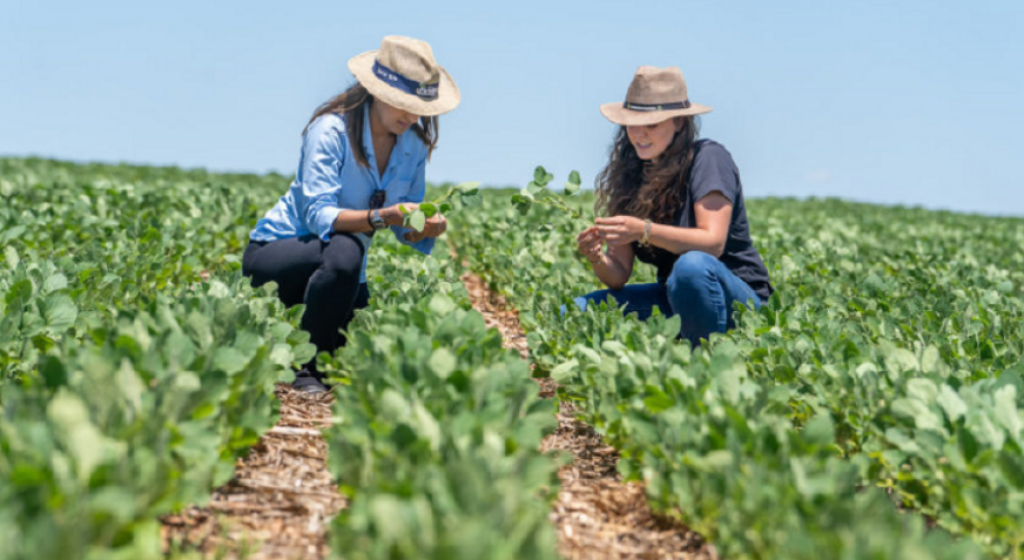 Cuiabá reúne lideranças femininas do agro na próxima quinta-feira