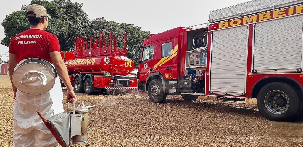 Corpo de Bombeiros remove enxame de abelhas que estava em residência