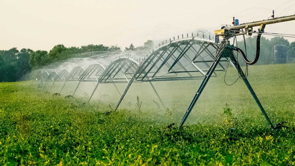 Polos irrigados concentram maior renda, produtividade e desenvolvimento