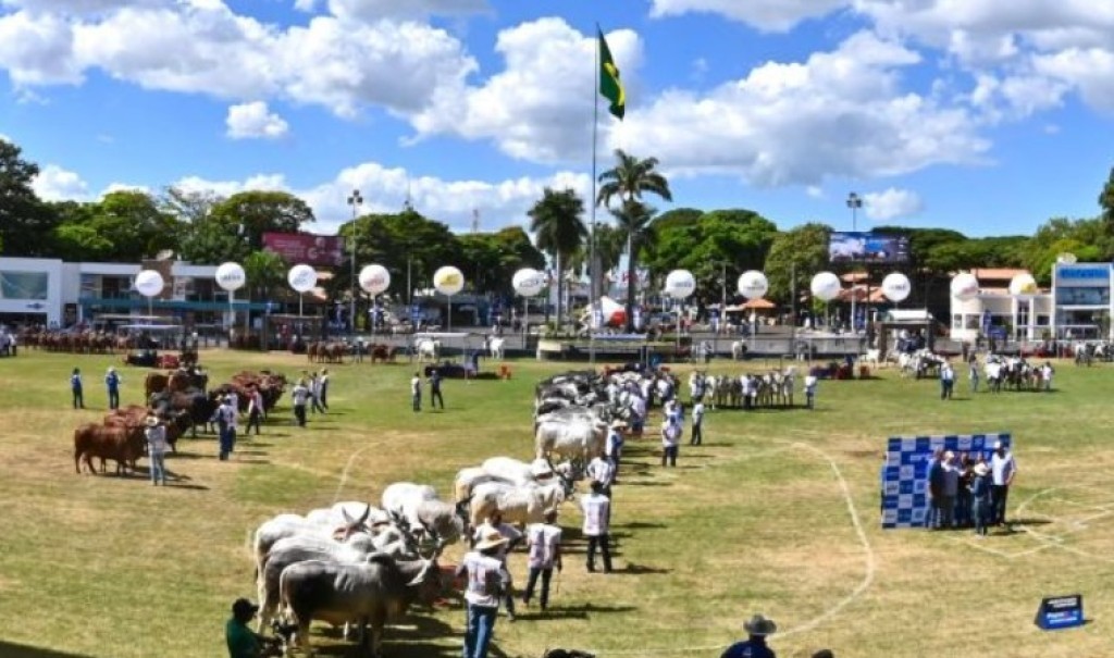 Expozebu começa amanhã e quer movimentar R$ 200 milhões em leilões
