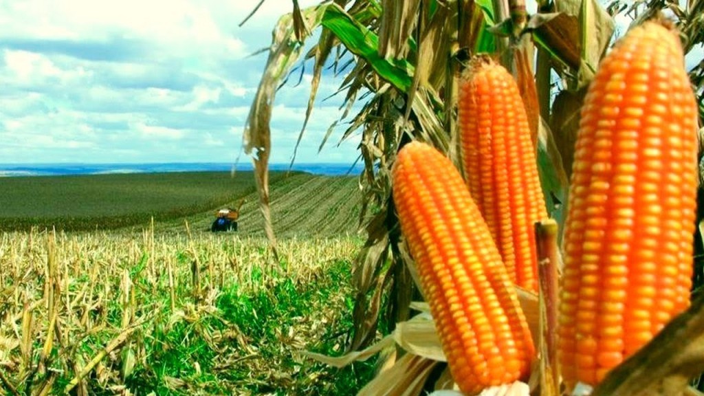Governo articula expansão da produção no Nordeste para reduzir custo