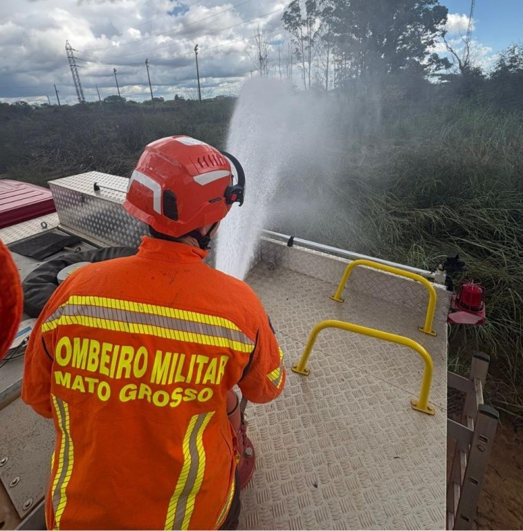 Corpo de Bombeiros combate incêndio em vegetação e resgata filhotes de gato