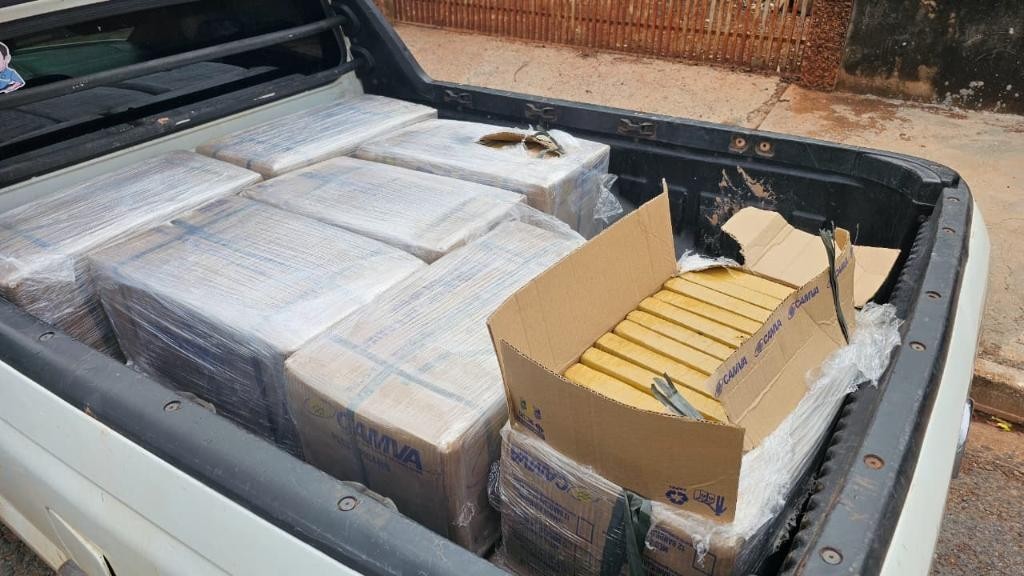 Polícia civil apreende aproximadamente meia tonelada de maconha em VG