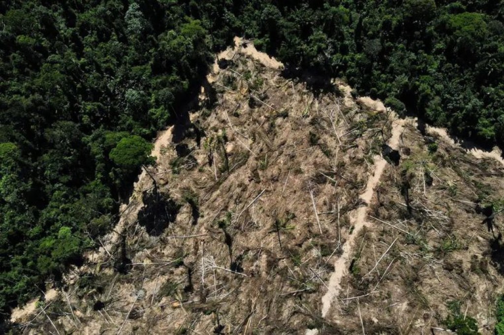 Audiência Pública discutirá biomassa e sustentabilidade em MT