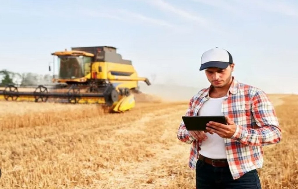 Pressão de oferta reduz preços ao produtor em quase 10% e aperta margens no campo