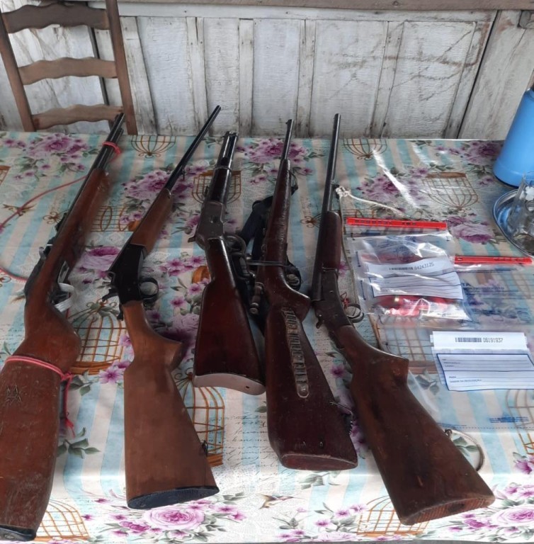 Polícia Civil cumpre dois mandados judiciais contra investigado por violência doméstica