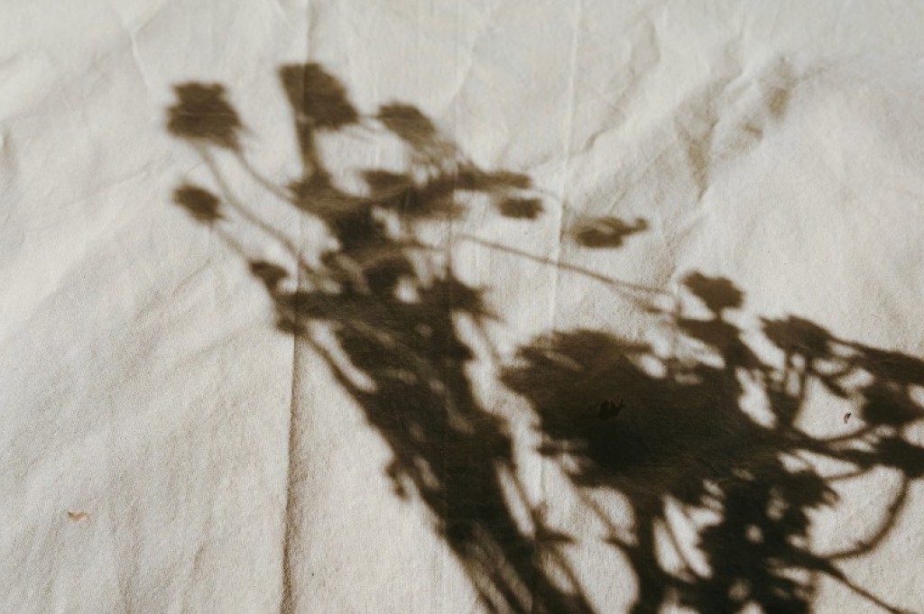 Entre a sombra e as flores: o papel do verde na construção da cidade