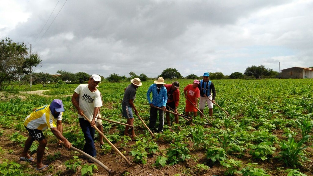 25 de maio: homenagem os 28,4 milhões de trabalhadores que movem o agro