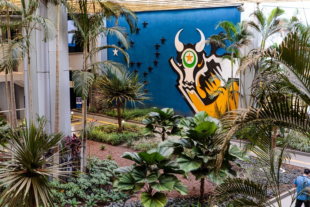 Governo lança programa Mato Grosso em Defesa das Mulheres nesta sexta-feira (17)