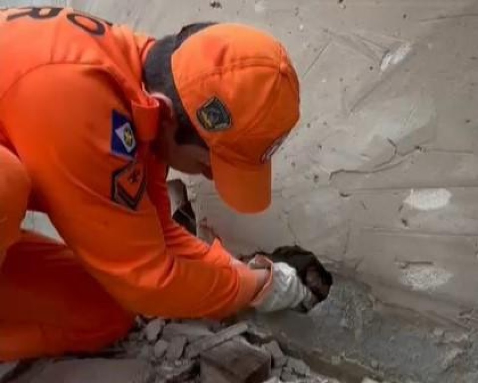 Bombeiros militares salvam quatro filhotes de cachorro que estavam presos em vão entre paredes