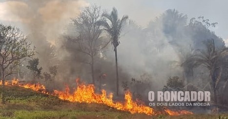 Fogo destrói 16 mil m2 de área próxima ao complexo balneário, no centro de Nova Xavantina