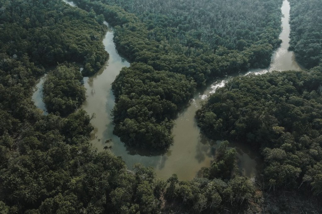 A Resiliência Amazônica e o Valor da Ciência: Contraponto ao Alarmismo
