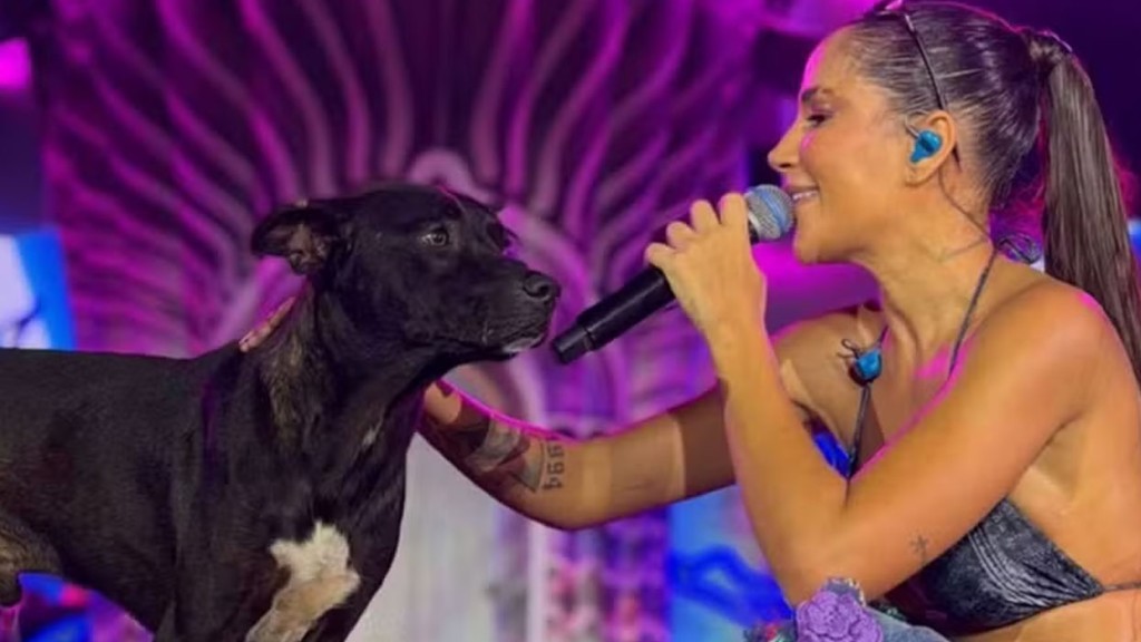 Michele Andrade adota cachorro após invasão emocionante em show na Paraíba