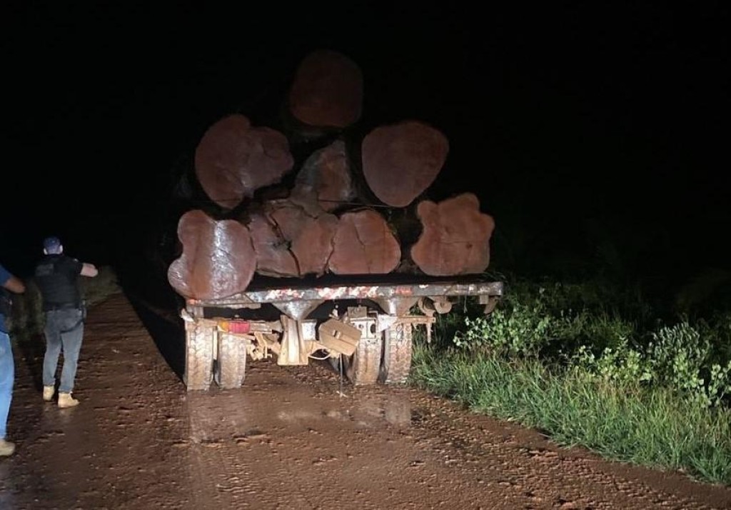 Polícia Civil e Sema flagram transporte e venda ilegal de madeira em Novo Mundo