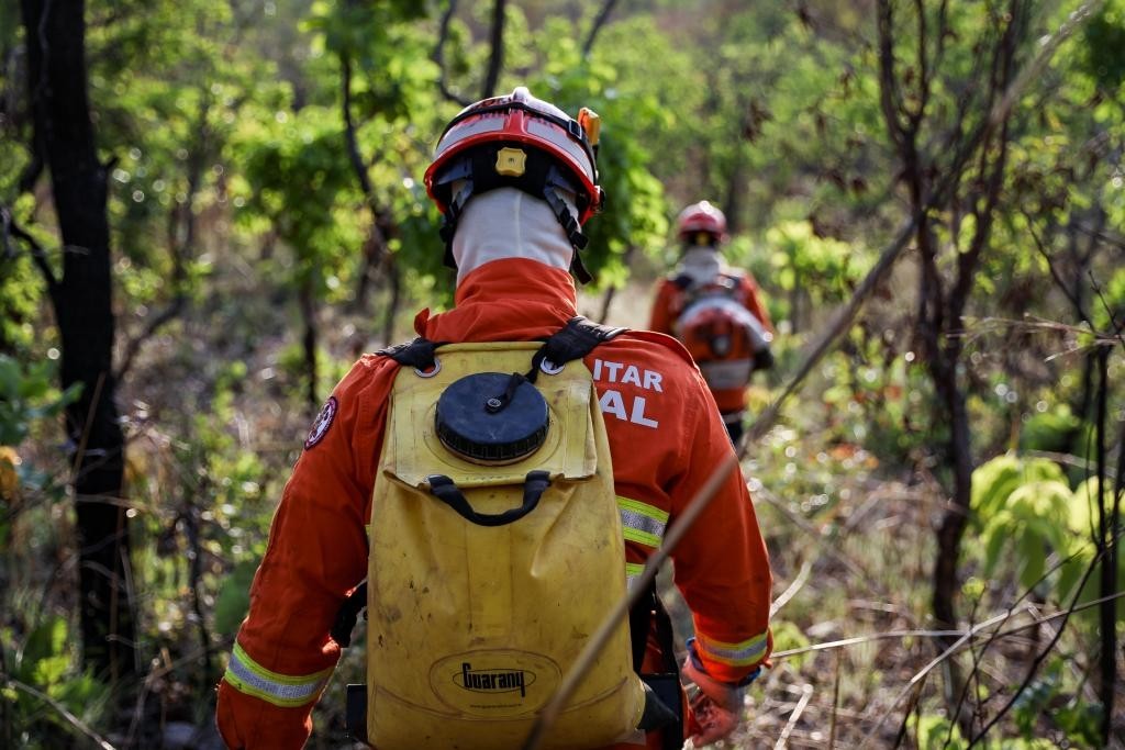 Corpo de Bombeiros abre vagas para especialização em Gestão de Incêndios Florestais