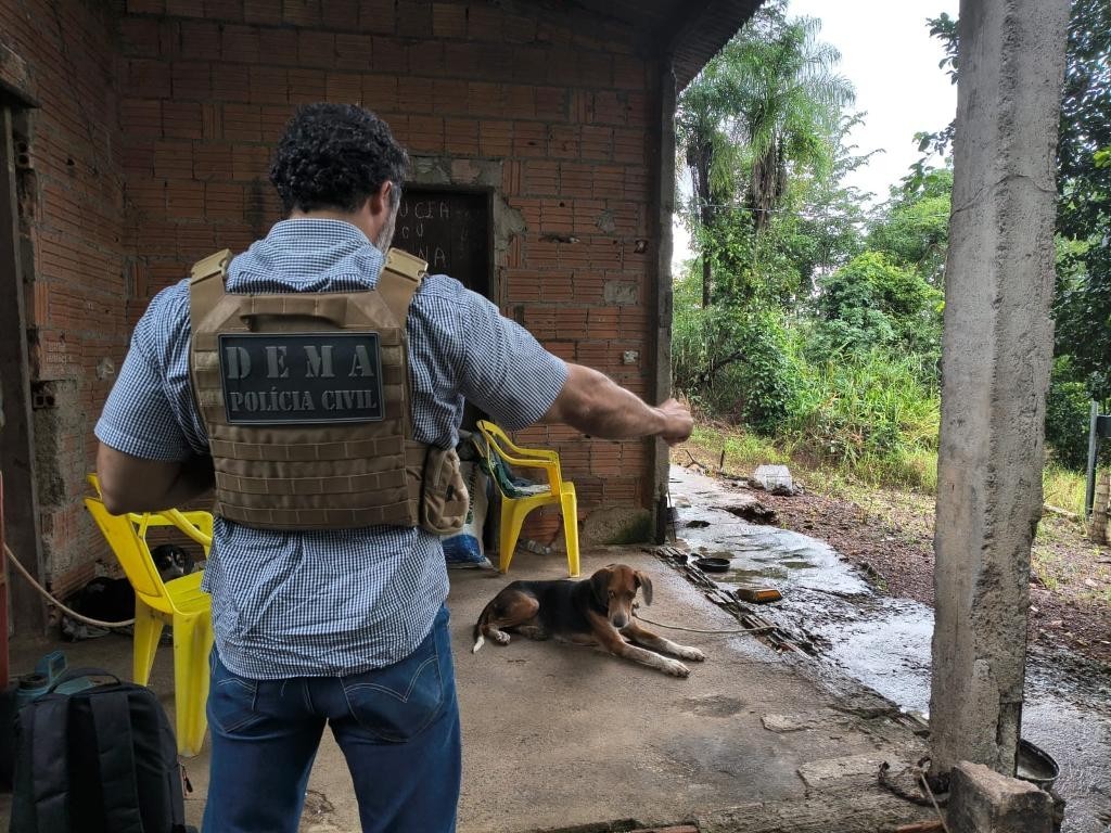 Polícia Civil identifica suspeito por maus-tratos e abuso contra cachorro