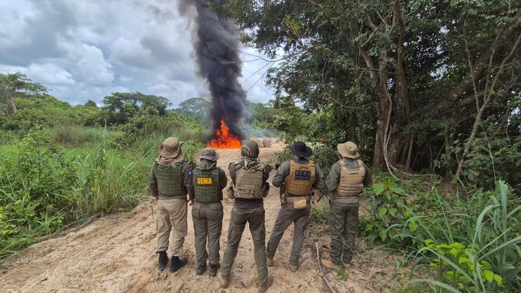 Polícia Civil deflagra Operação Logging e causa prejuízo de R$ 3,5 milhões ao crime ambiental em Mato Grosso