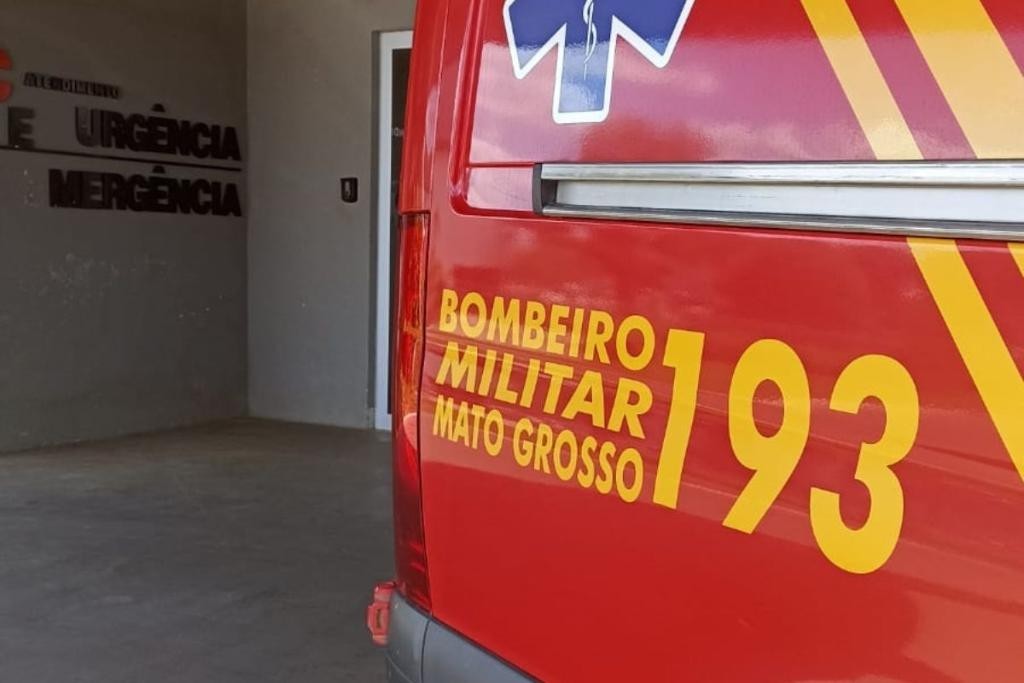 Bombeiros contém cachorro agressivo que apresentava risco à população