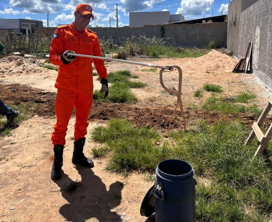 Corpo de Bombeiros resgata tamanduá-mirim e cobras em áreas de risco