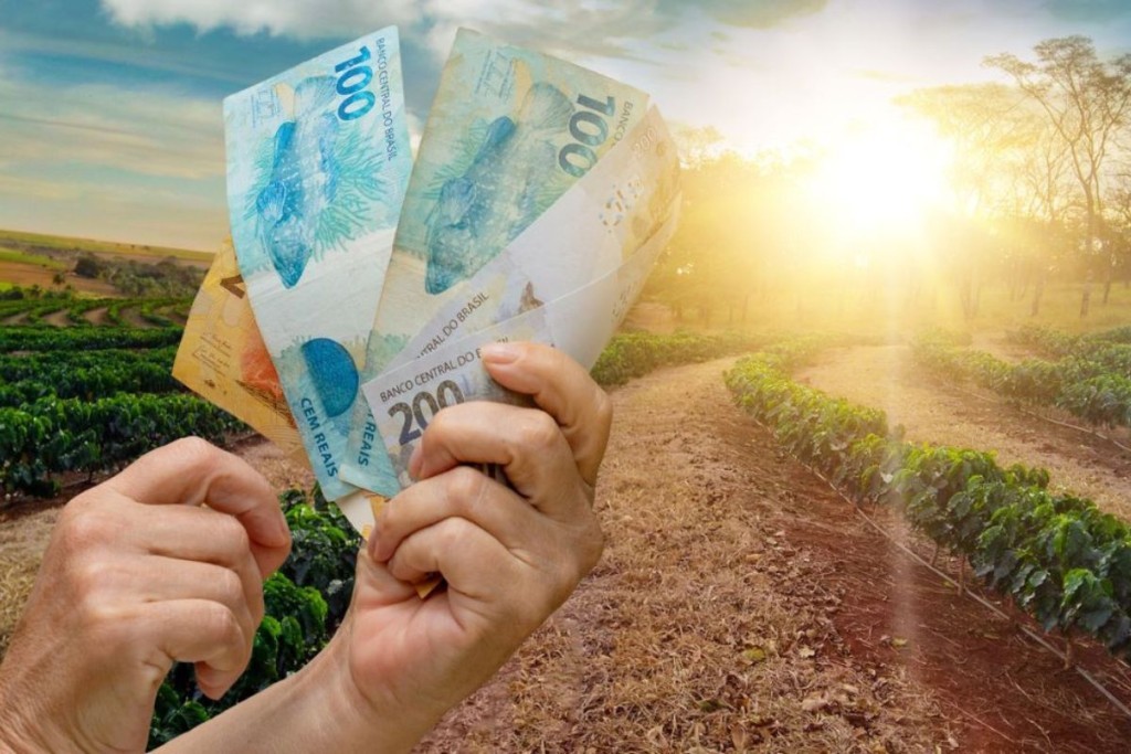 Safra de soja põe crédito rural à prova: custeio pode superar R$ 212 bilhões