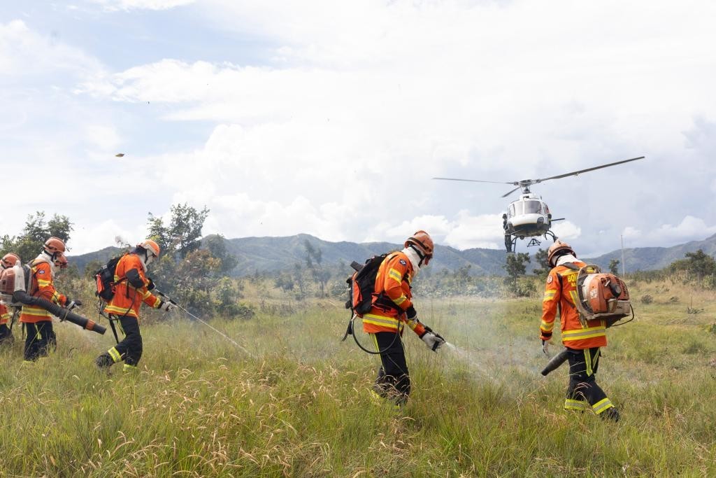 Corpo de Bombeiros combate 19 incêndios florestais nesta segunda-feira (13)