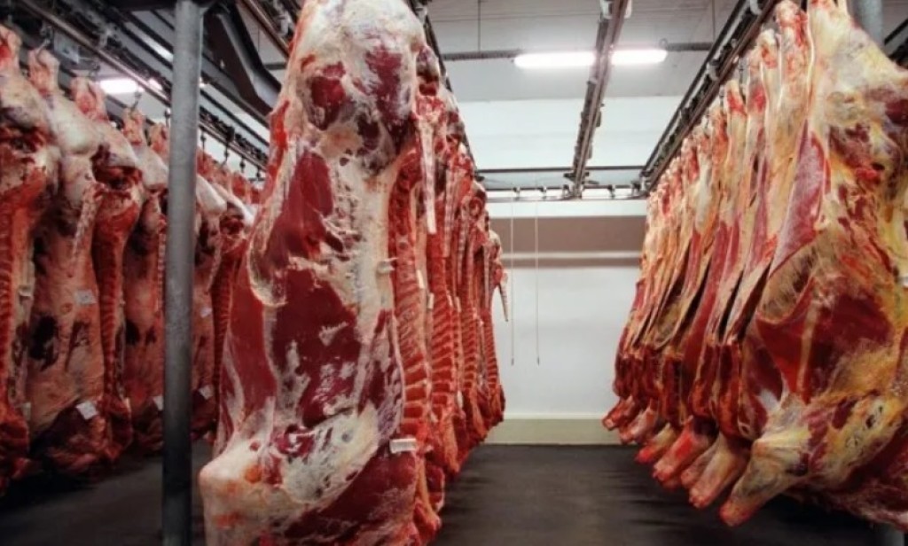 Exportação de carne cresce 29,6% e rende R$ 14,5 bilhões em 7 meses