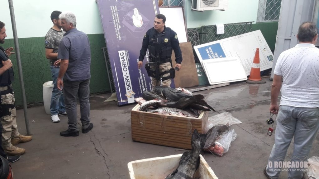 PRF aprende 213 quilos de pescado em Barra do Garças