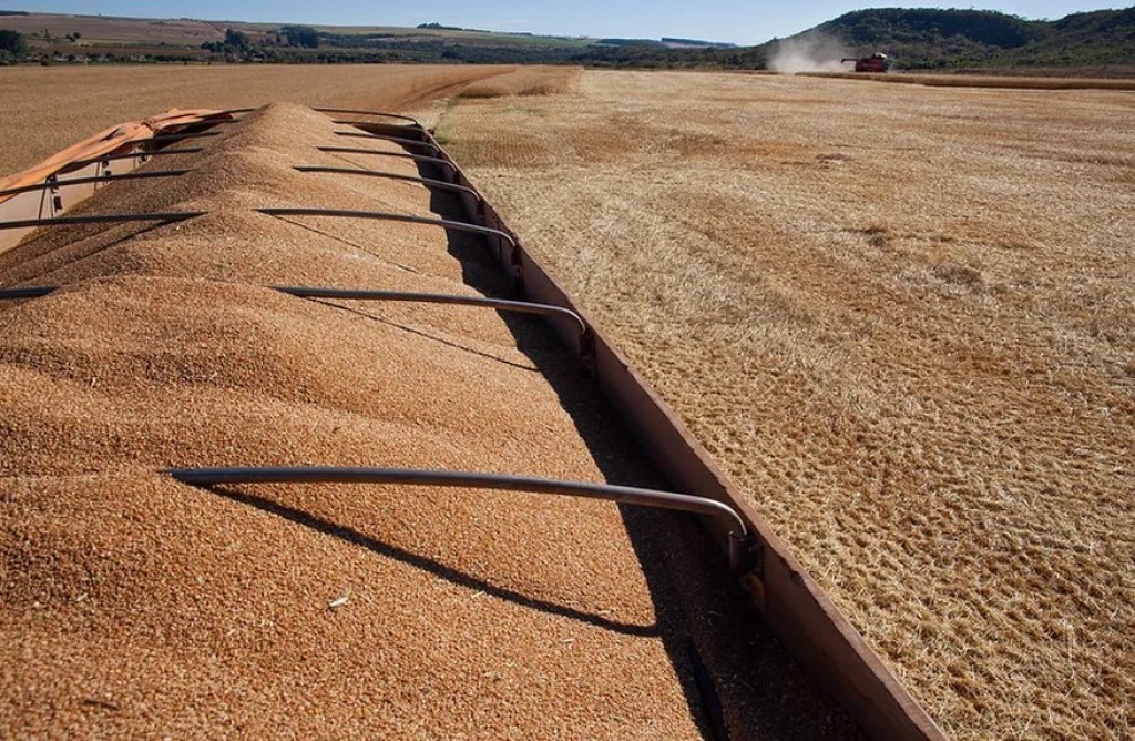 Agro ampliou peso na economia e manteve crescimento em 2025