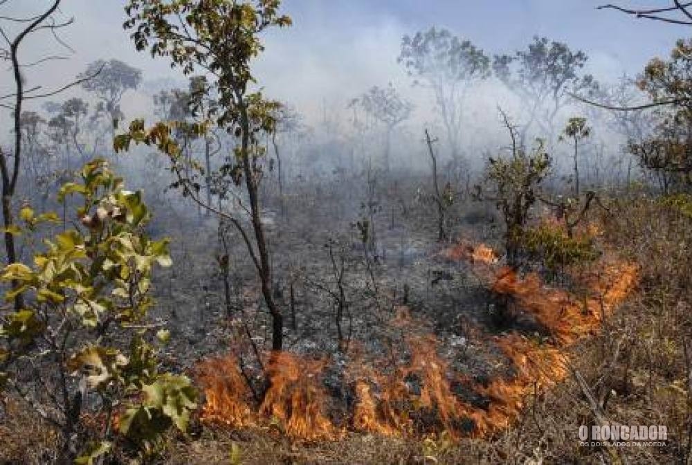 Queimada em área indígena toma conta do Areões e assusta produtores rurais da região