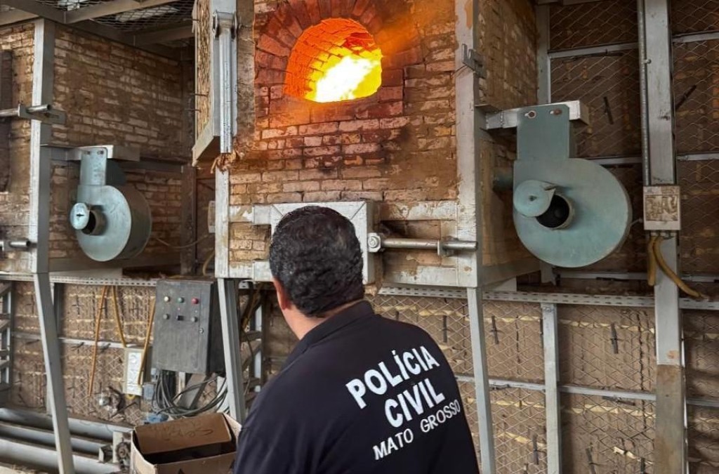 Polícia Civil incinera cinco quilos de entorpecentes apreendidos na região de Dom Aquino