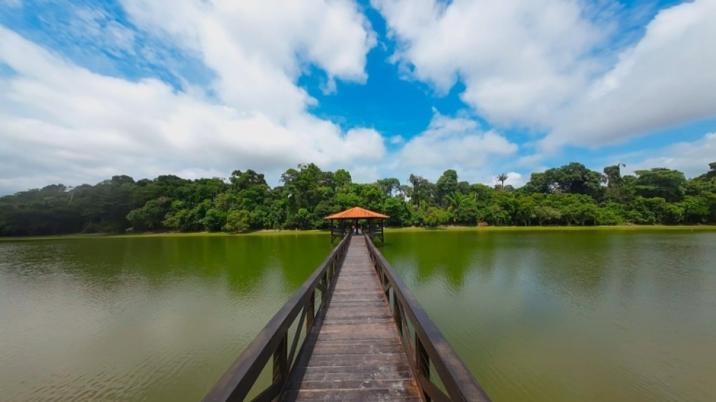 Parque Florestal de Sinop recebe programação especial neste sábado (19) em comemoração ao Dia da Árvore