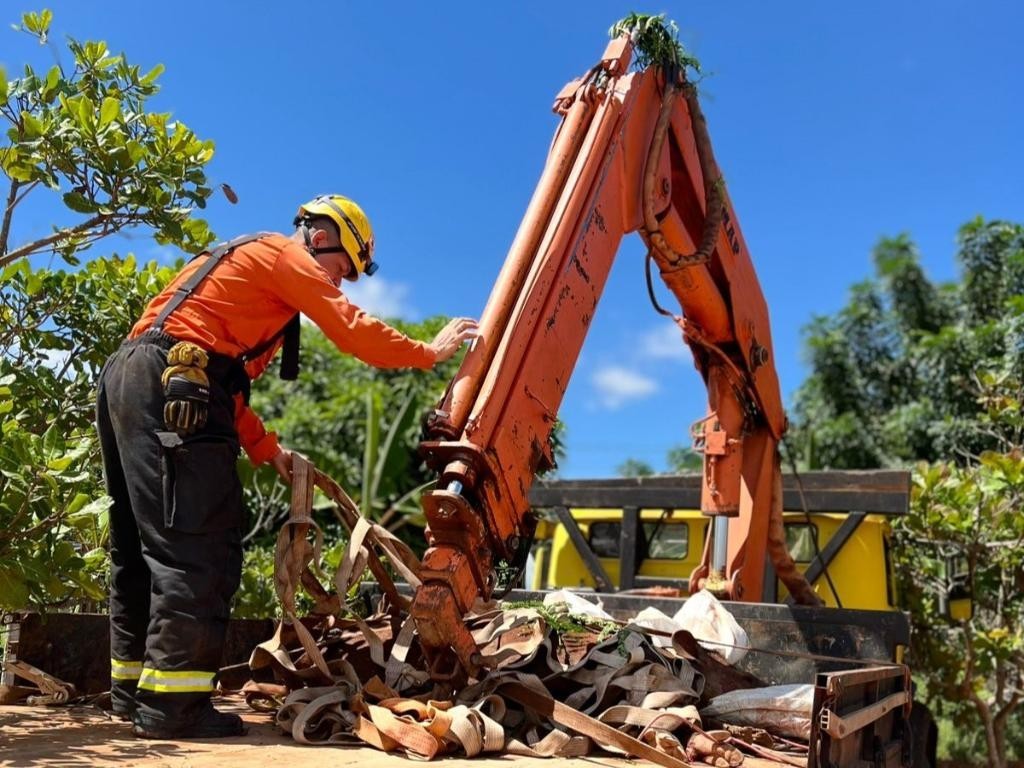 Corpo de Bombeiros resgata anta ferida às margens da BR-163