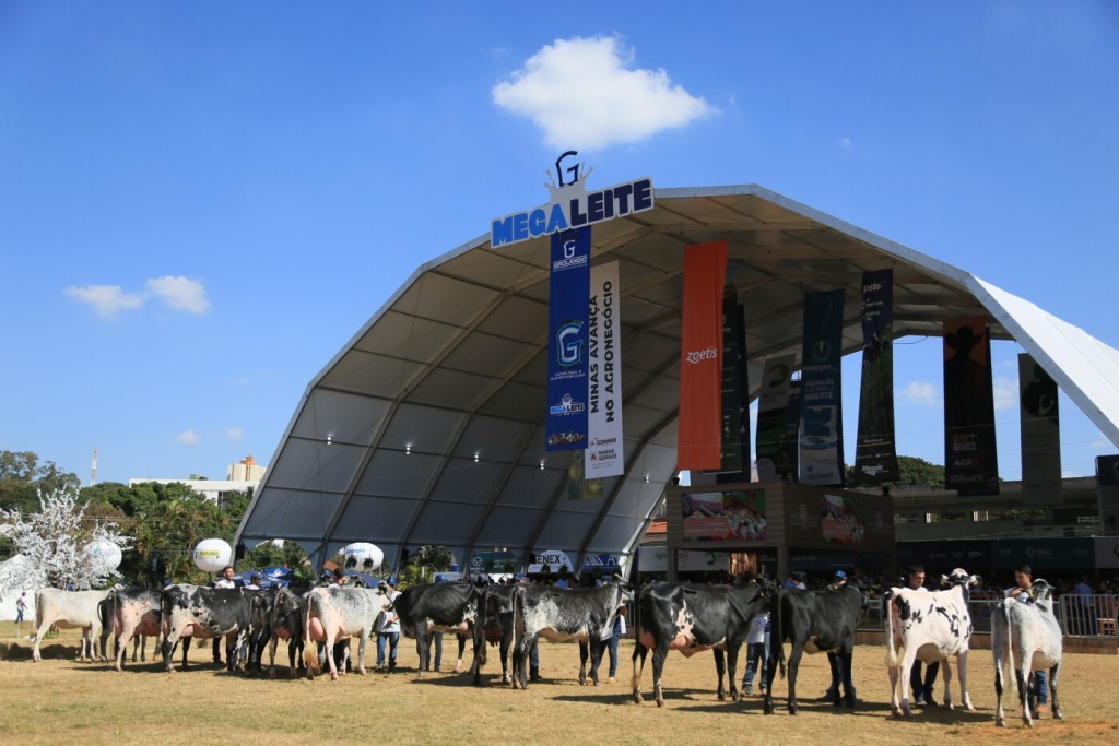 Megaleite espera superar R$ 300 milhões em negócios em Belo Horizonte