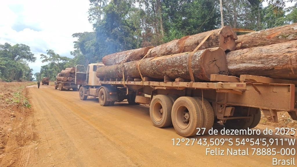 Polícia Militar apreende mais de 100m³ de madeira ilegal em Feliz Natal