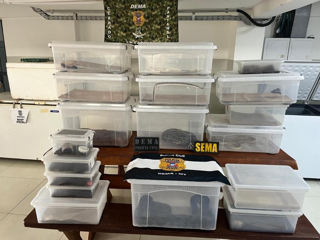 Polícia Civil deflagra operação contra manutenção irregular de animais silvestres e exóticos