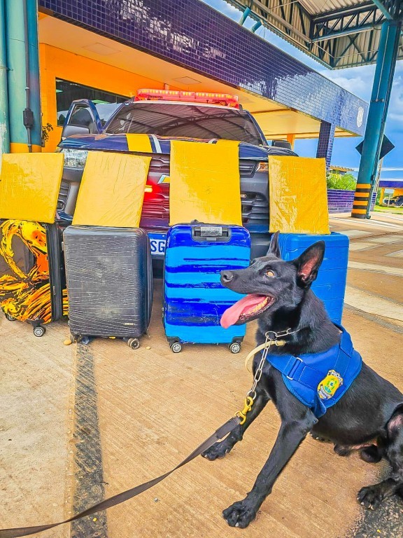 PRF apreende mais de 15 kg de cocaína com passageiras em ônibus interestadual na BR-364, em Cuiabá (MT)