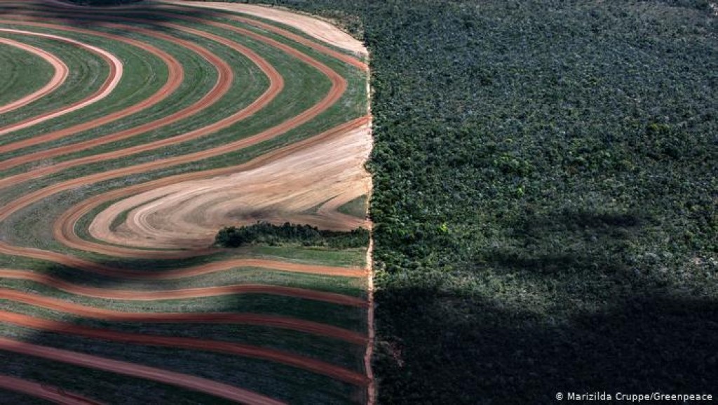 Política para remunerar conservação no campo avança, mas não define quem pagará a conta