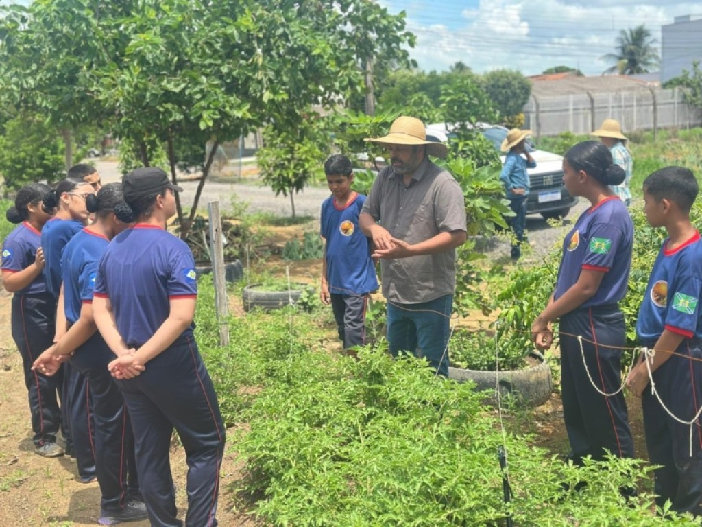 Alunos aprendem técnicas de plantio e manutenção de canteiros de hortaliças e plantas medicinais