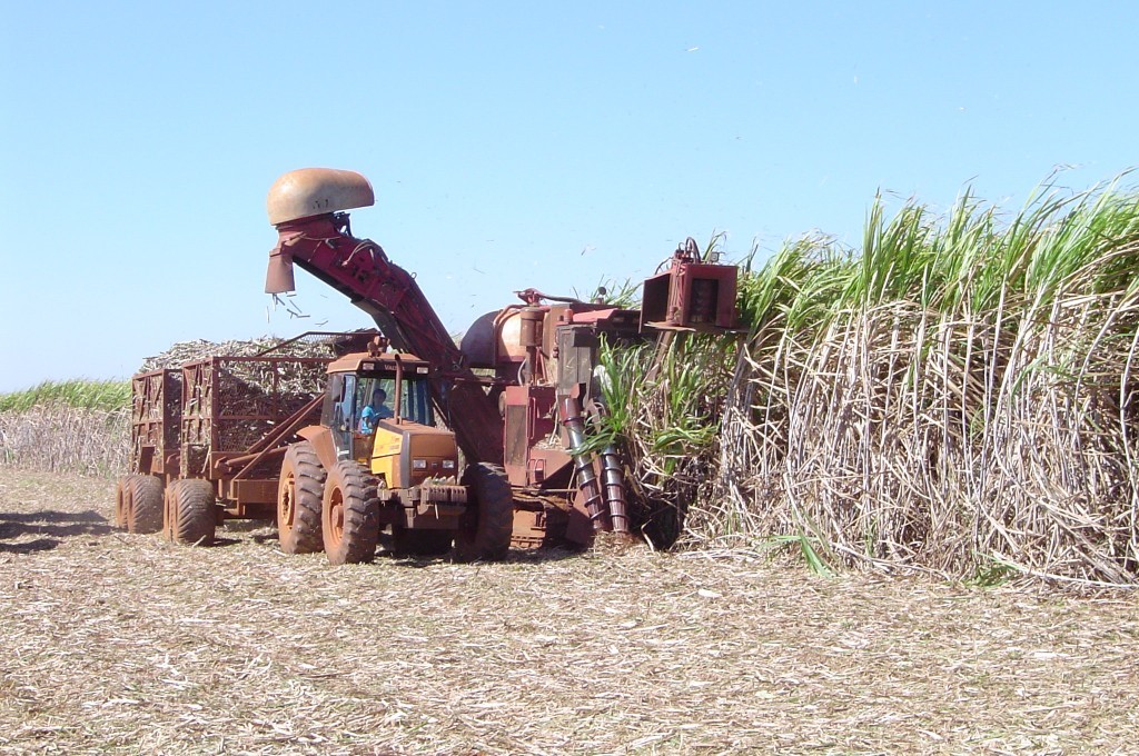 Produção de cana recua, mas etanol atinge e açúcar se mantém em alta